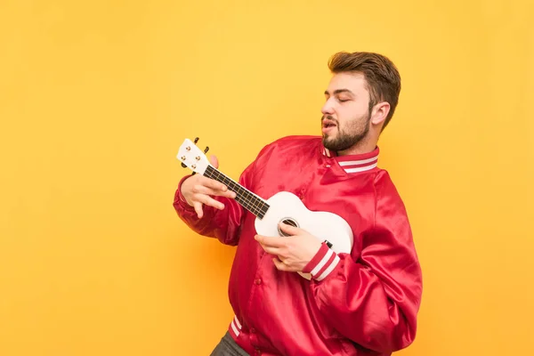 Expressive musician in a red jacket with Hawaiian guitar and hands is isolated on a yellow background. Bearded man plays Ukulele against the background of the yellow wall
