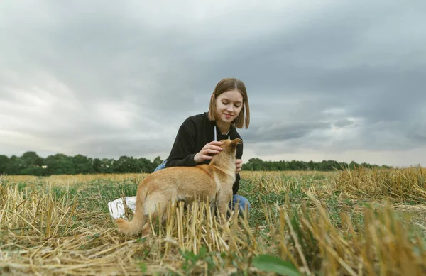 Attraktiv pige i afslappet tøj leger med en hund på banen. Pige strøg en værftet hund på baggrund af et efterår skrå felt af hvede og overskyet himmel . - Stock-foto