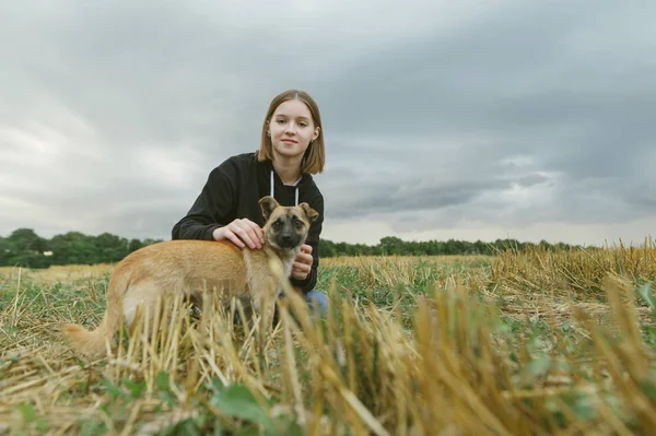 Pige ejer med lille køter hund sidder på marken baggrund og overskyet himmel kigger ind i kameraet. Kvindelige landmand leger med hunden i marken. Kæledyr i landbruget . - Stock-foto