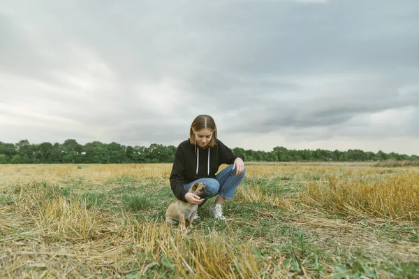 Gadis cantik bermain dengan anjing kampung di musim gugur lapangan di latar belakang awan badai langit. Wanita duduk di rumput di lapangan dan. membelai anjing kecil yang lucu . — Stok Foto