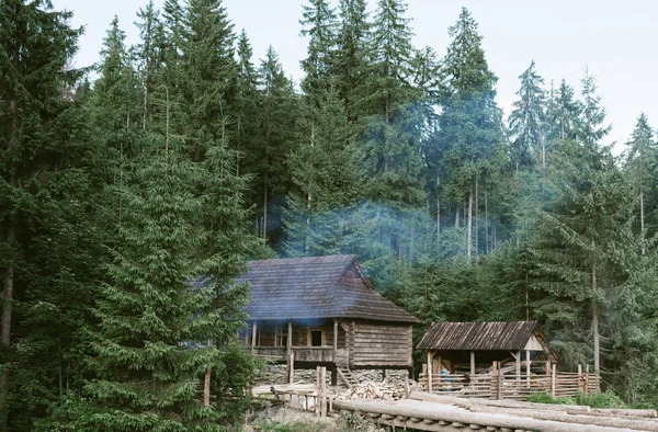 Skjuten av trästugan bland granarna i barrskogen. Foto av en lantlig natur: traditionell stuga i vildmarken i fjällskogen. Landsbygd landskap, bakgrund, kopiera utrymme. — Stockfoto