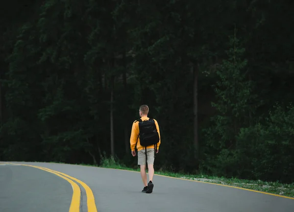 노란 스웨터 를 입은 수컷 관광객 은산 전나무 숲 배경으로 아스팔트 길을걸어 내려오고 있다. 산속 근처 도로에서 배낭을 메고 있는 여행자의 뒷모습. — 스톡 사진
