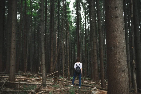 산의 전나무 숲 한 가운데서서 멀리 앞을 내다보고 있는 멋진 여경 인의 모습을 뒤를 돌아보라. 매혹적 인 숲 속을 거닐고 있는 젊은 여자 여행자. — 스톡 사진