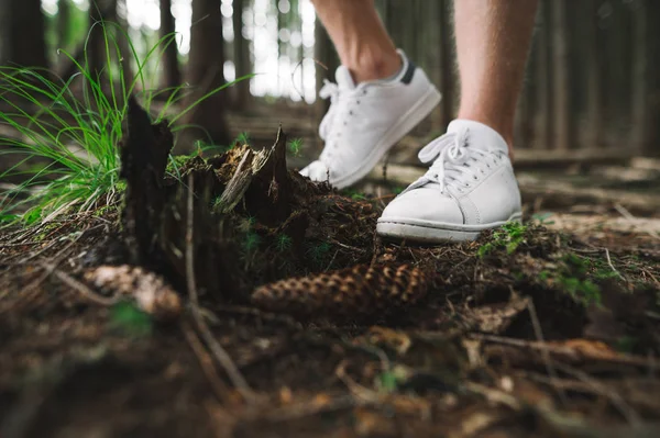 Tæt op foto af stilfulde hvide sneakers på bjerget gran skov baggrund. Stilfuld closeup foto af fashionable sneakers på jorden i nærheden af fyrrekogler. Mode og rejser koncept . - Stock-foto
