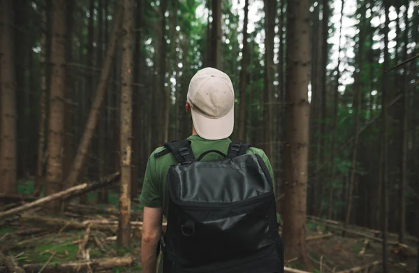Visão traseira em um caminhante masculino com uma mochila na tampa de pé na floresta de coníferas da montanha olhando para a frente. Turista cara em camiseta verde em pé entre os abetos no fundo da floresta . — Fotografia de Stock