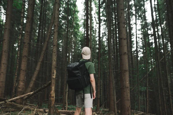 Vista posterior en el hombre turista con estilo en camiseta verde de pie en el medio del bosque de abeto de montaña mirando hacia arriba. Joven viajero masculino con mochila y gorra caminando en bosques de coníferas disfrutando de la vista . — Foto de Stock