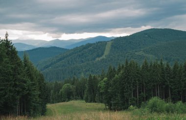 Dağların ve kozalaklı ormanın güzel manzarası bulutlu havada, dağ yolunda. Karpatlar, Ukrayna. Arkaplan