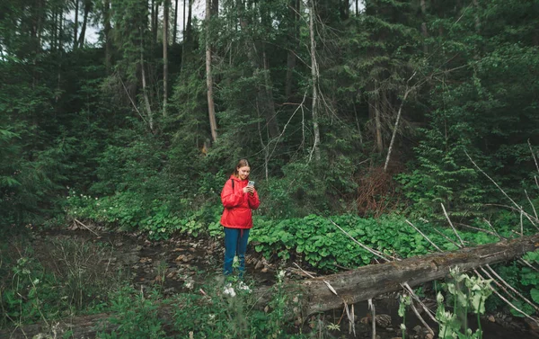 웃는 한 여성은 숲 속의 산길을 넘어 통나무 위에 서서 스마트폰을 사용 합니다. 산속을 걷는 여행자, 소녀는 아름다운 풍경을 배경으로 야생 식물을 가지고 등산을 한다. — 스톡 사진