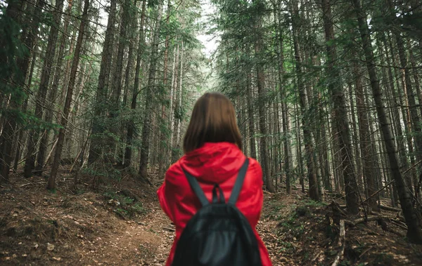 배경. 추상적 인 사진입니다. 소나무 숲 배경에 빨간 자켓을 입은 흐릿 한 소녀. 나무에 집중하 세요. 등산 개념. — 스톡 사진