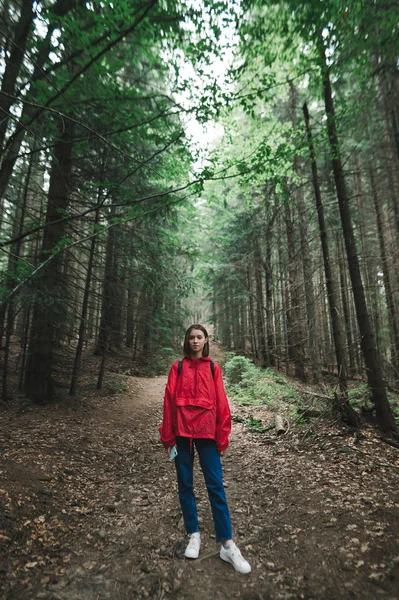 빨간 자켓을 입은 젊은 여성 이 숲 속의 길 위에 서서 심각 한 얼굴로 카메라를 들여다 봅니다. 숲 속을 걷고 있는 등산객의 사진. 등산 개념. — 스톡 사진