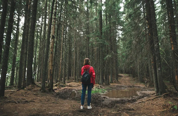 Back of a girl on a hike, stands on a background of forest paths with a puddle. Hiker woman in red jacket and with backpack on trail in mountain forest. Hiking in the forest concept. Background — Stock Photo, Image