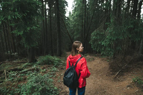 빨간 자켓을 입은 매력적 인 등산객 이 숲 속에 서서 멀리 바라보며 산악 지역을 하이킹 한다. 가방을 들고 저녁에 숲 속에 있는 한 등산객의 사진. — 스톡 사진