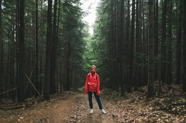 Caminante mujer en un impermeable rojo se encuentra en un sendero en las montañas, mira a cámara, chica en una caminata de montaña. Foto de larga duración de turista en chaqueta roja de pie en el fondo de grandes árboles de coníferas viejas — Foto de Stock