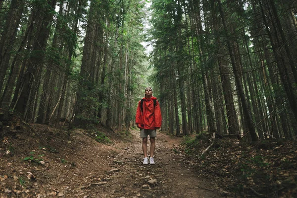 Caminante con un impermeable rojo se para en un sendero en las montañas, mira a cámara, tipo en una caminata por la montaña. Foto de larga duración de turista en chaqueta roja de pie en el fondo de grandes árboles de coníferas viejas — Foto de Stock