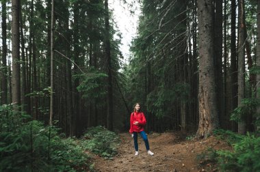 Dağdaki köknar ormanında kırmızı ceketli yürüyüş yapan bir kızın minimalist tam boy fotoğrafı. Kırmızı yağmurluk giyen bir kadın gezgin ormandaki ağaçların arasındadır. Konsept çekim, kopyalama alanı.