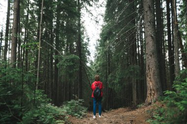 Minimalist tam boy fotoğraf, dağ ormanında sırt çantalı kırmızı ceketli bir turist kız. Kırmızı yağmurluk giyen bir yürüyüşçü kadın ormandaki uzun ağaçların arasındadır. Kopyalama alanı.