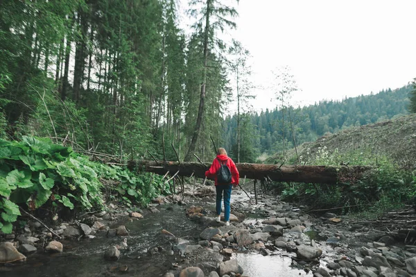 Vista Trasera Chica Viajera Chaqueta Roja Cruzando Río Montaña Cerca — Foto de Stock