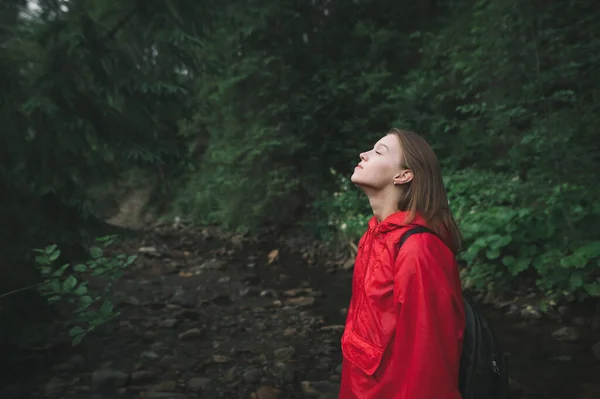 산속을 여행하는 여자의 자켓을 고개를 관광객은 전나무 숲에서 즐거움 만족을 — 스톡 사진