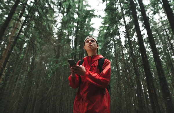여행가는 숲에서 앞날을 내다보면서 스마트폰을 사용하고 있습니다 집중하고 관광객 전나무 — 스톡 사진