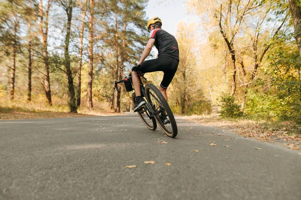 骑自行车的运动员在路上的秋天公园里骑马 骑自行车 把自行车放在一边 男人骑着自行车走在城外的秋天路上 回头看 — 图库照片