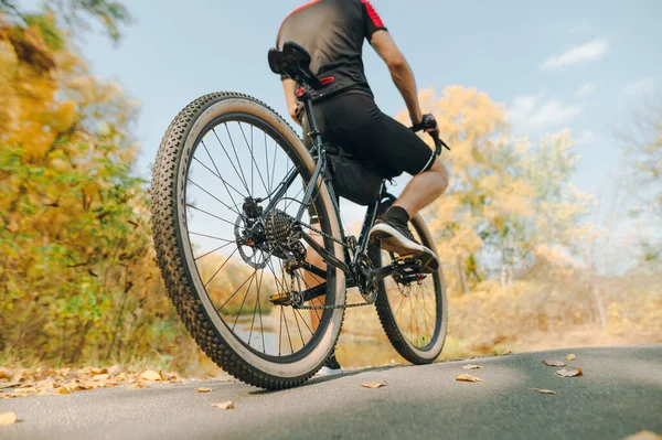 Zbliżenie Skupienie Kole Rowerowym Widok Tyłu Rowerzysta Spaceruje Rowerem Jesiennym — Zdjęcie stockowe