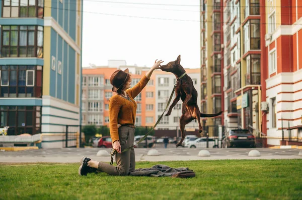 ヴィンテージの服を着たスタイリッシュな女性は庭の芝生の上で犬をこすり 犬は綱の上で所有者の手に飛び込みます 近所の庭で草を楽しんでいる女性の所有者と遊ぶ犬 — ストック写真