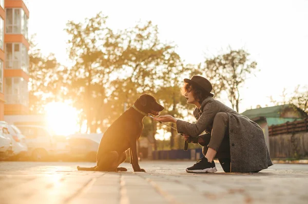 Wanita Cantik Bermantel Dan Topi Bermain Dengan Anjing Luar Ruangan — Stok Foto