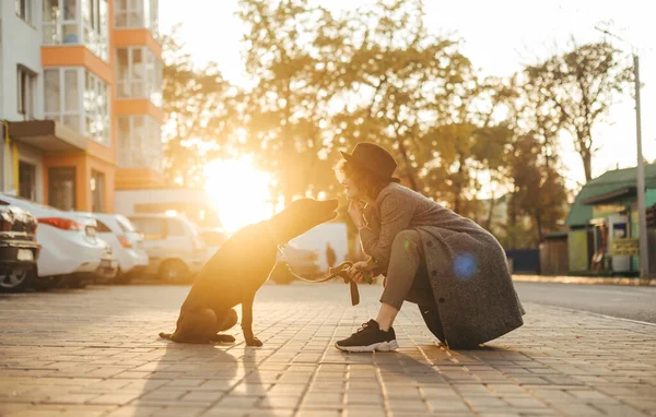 Glad Hund Ägare Hatt Och Rock Leka Med Husdjur Bakgrunden — Stockfoto