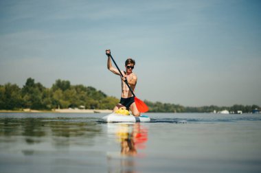 Atletizm sporcusu nehirde sup tahtası üzerinde yüzüyor, konsantre bir yüzle aktif olarak kürek çekiyor. Atletik adam nehirde kürek çekiyor..
