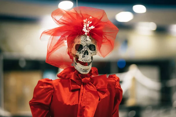 Skeleton of a woman in a red dress indoors, decorations for Halloween. Skull in red clothes decor indoors