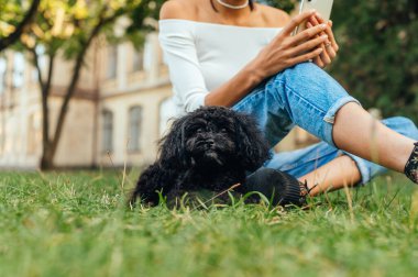 Kapalı bir fotoğrafta siyah güzel bir köpek çimlerin üzerinde sahibiyle oturuyor ve kameraya bakıyor. Şirin, komik köpek yavrusu, çimenlerde boş vakit geçiren bir kadınla fino köpeği oyuncağı..