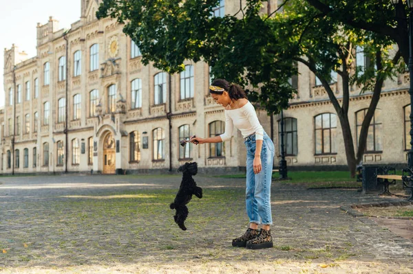 Cute Kobieta Stylowych Ubraniach Gra Psem Parku Tle Starej Architektury — Zdjęcie stockowe