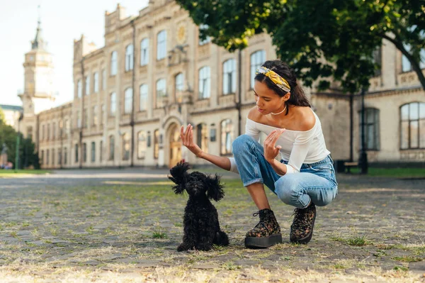 Positiv Latinamerikansk Kvinna Leker Med Söt Svart Liten Hund Ras — Stockfoto