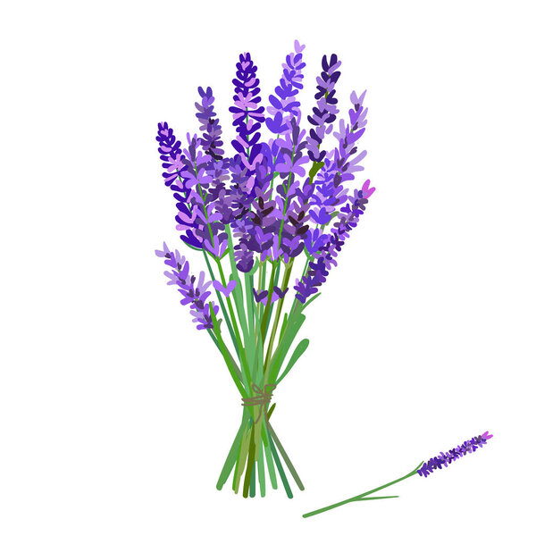 букет лаванды
 