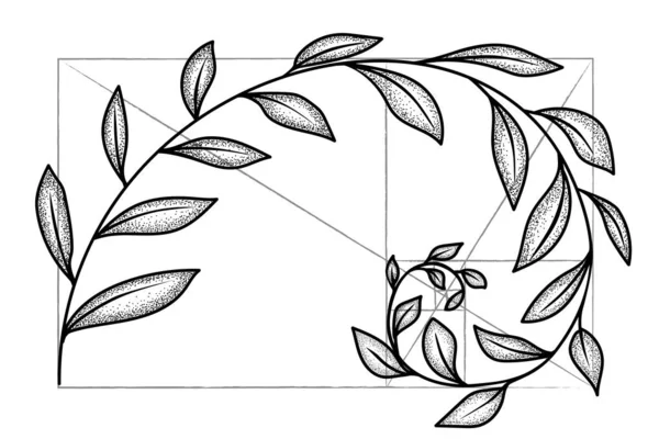 Spirale Florale Fibonacci Croquis Concept Harmonie Rapport Illustration Vectorielle — Image vectorielle