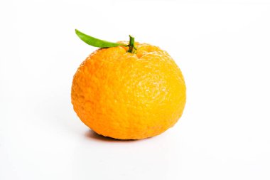 güzel taze olgun mandalina stüdyoda çekildi