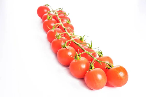 Hermosa Rama Con Tomates Fue Fotografiado Estudio Fotografía —  Fotos de Stock
