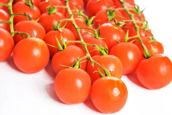 Hermosa Rama Con Tomates Fue Fotografiado Estudio Fotografía — Foto de Stock