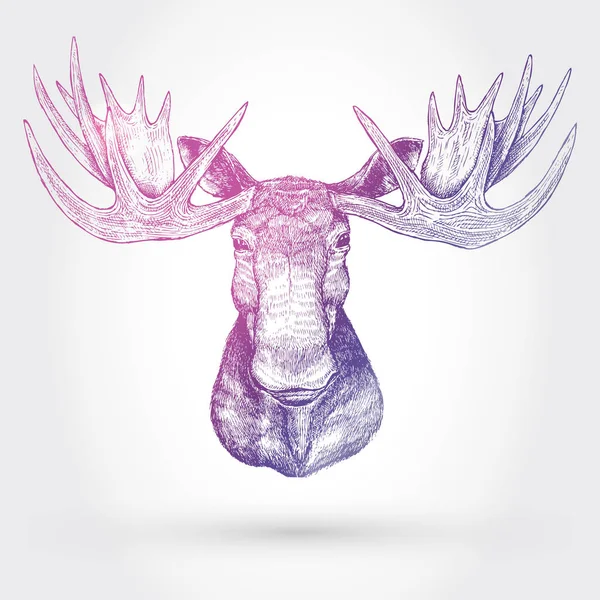 Hand Drawn Moose Head Vector — Stock Vector