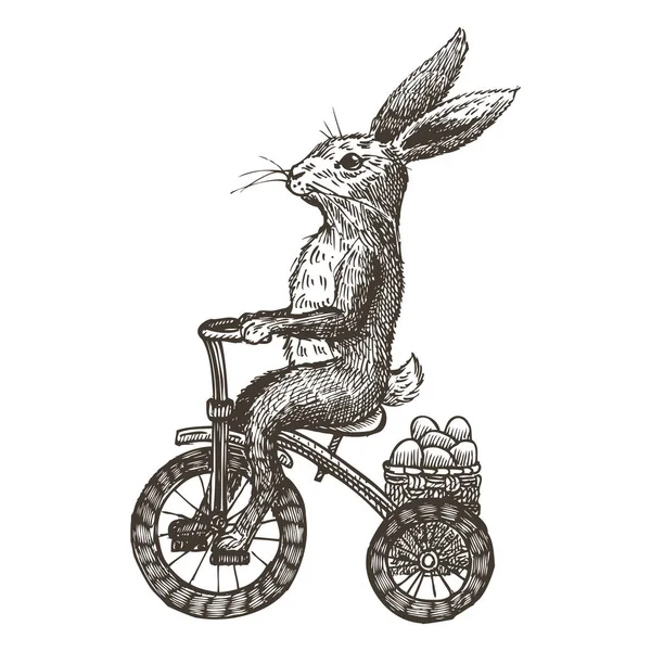 Ręcznie Rysowane Bunny Jazdy Trójkołowy Pisanki Wektor — Wektor stockowy