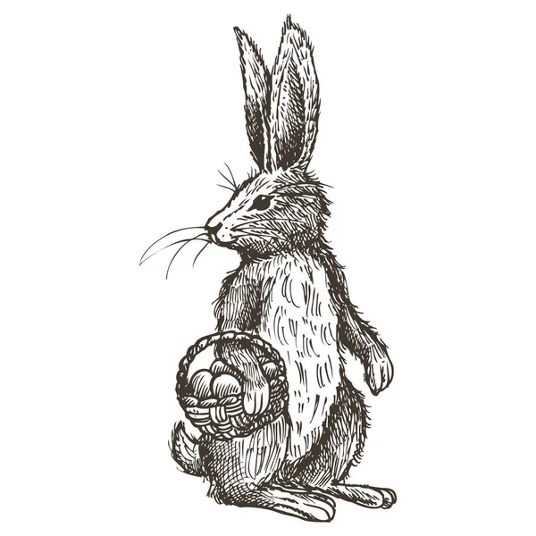 Ručně Tažené Bunny Velikonoční Vajíčka Vektorové — Stockový vektor