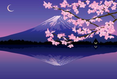 Fuji Dağı ve geceleri sakura ağacı