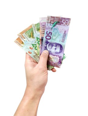 Beyaz arka planda Yeni Zelanda banknotlarını tutan erkek.                       