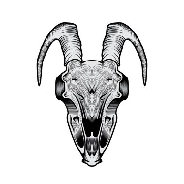 Keçi kafatası baş illustratio