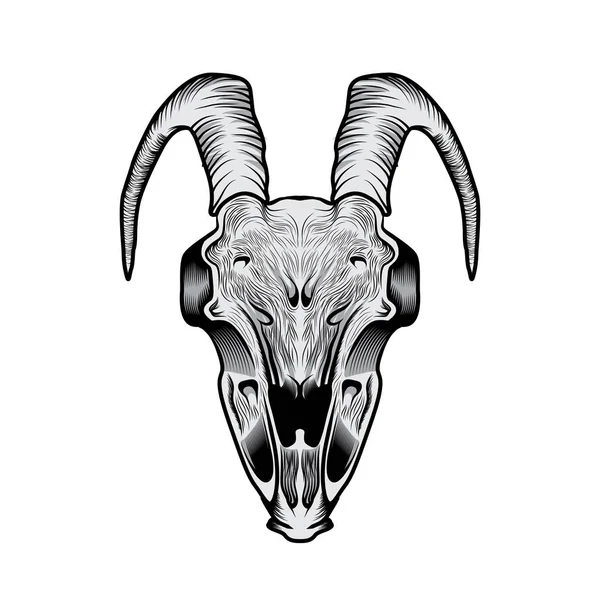 Cabra Cráneo Cabeza Illustratio — Vector de stock