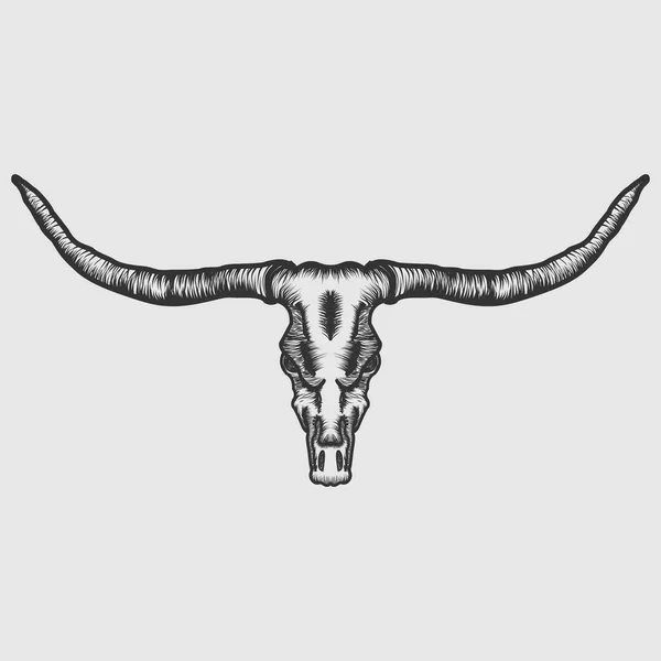 Ilustracja Wektorowa Czaszki Longhorn — Wektor stockowy