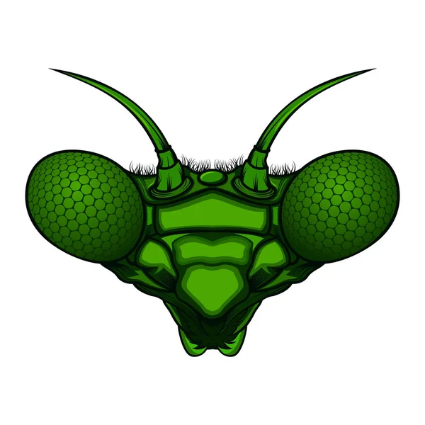 Illustrazione Vettoriale Testa Mantis — Vettoriale Stock