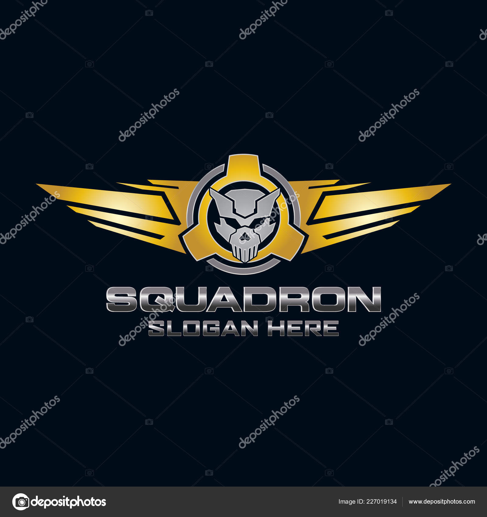 Squadron Skull Logo