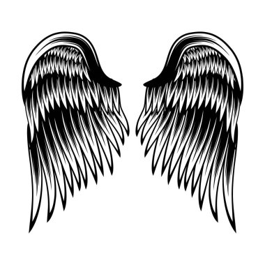 İzole kanat vektör tasarımı