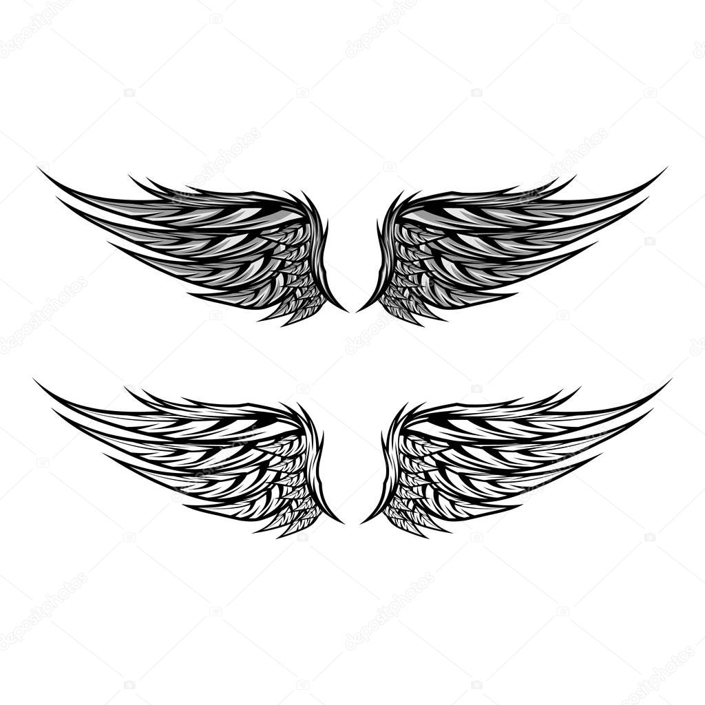 wings isolated vector template design